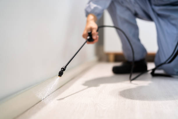Licensed Termite Control service in Otsego County County, MI - Nex Pest Control