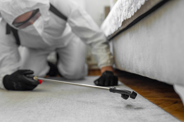 Professional Termite Control technician working in Otsego County County, MI